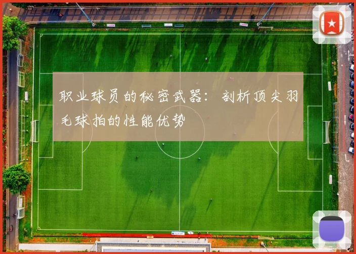 职业球员的秘密武器：剖析顶尖羽毛球拍的性能优势
