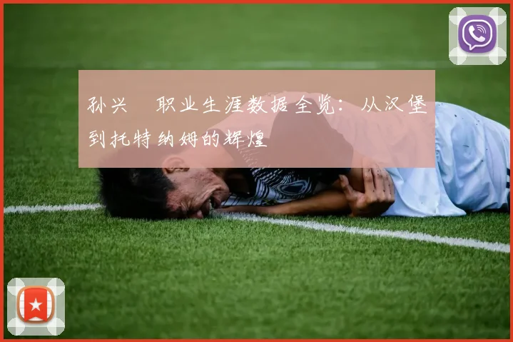 孙兴慜职业生涯数据全览:从汉堡到托特纳姆的辉煌