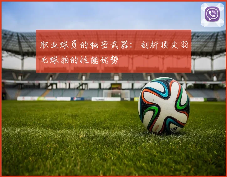 职业球员的秘密武器：剖析顶尖羽毛球拍的性能优势