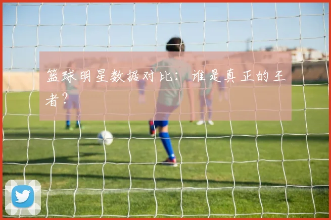 篮球明星数据对比：谁是真正的王者？