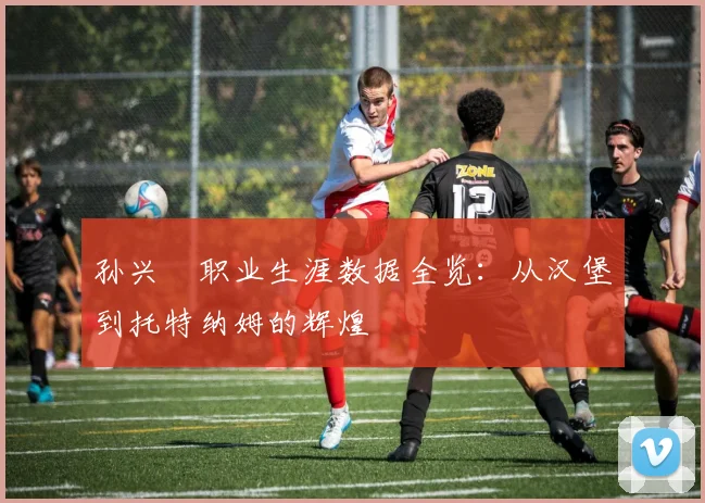 孙兴慜职业生涯数据全览：从汉堡到托特纳姆的辉煌